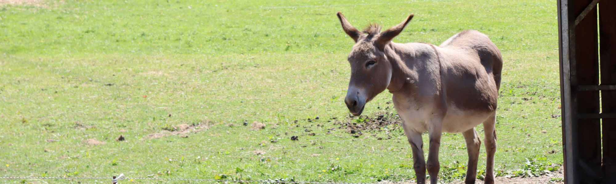 Ne Nourrissez Pas Les Animaux Des Plomarc H Douarnenez Bzh Site